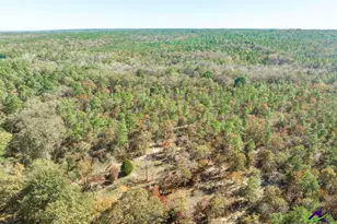 2574 Lower Hartley Bridge, Byron, GA 31008 - Photo 36