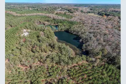 1446 Avera Road, Roberta, GA 31078 - Photo 18