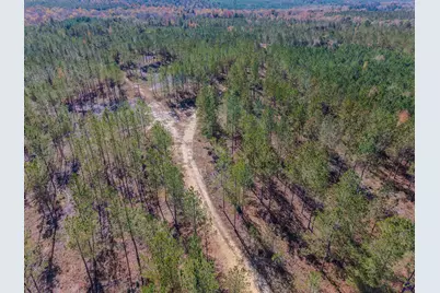 1446 Avera Road, Roberta, GA 31078 - Photo 12
