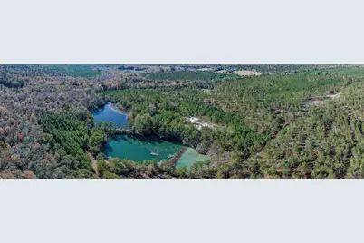 1446 Avera Road, Roberta, GA 31078 - Photo 28