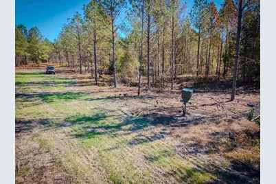 1446 Avera Road, Roberta, GA 31078 - Photo 10