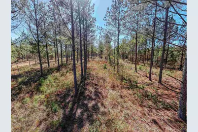 1446 Avera Road, Roberta, GA 31078 - Photo 16