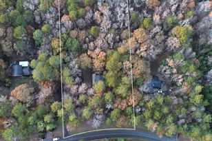 202 Hilltop Cir, Macon, GA 31210 - Photo 4