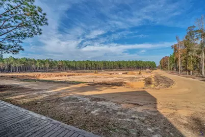 202 John Cobb Road, Hawkinsville, GA 31036 - Photo 36