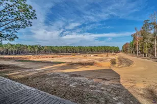 202 John Cobb Rd, Hawkinsville, GA 31036 - Photo 36