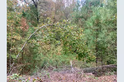 106 Maple Glen Court, Centerville, GA 31028 - Photo 8