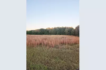 Tractc-1B &amp;c1A Kersey Road, Elko, GA 31025 - Photo 2