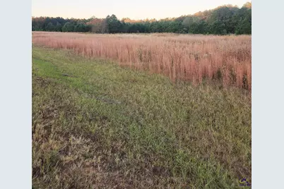 Tractc-1B &amp;c1A Kersey Road, Elko, GA 31025 - Photo 4