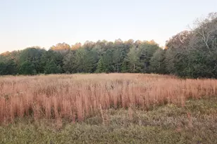 Tractc-1B &amp c1A Kersey Rd, Elko, GA 31025 - Photo 1