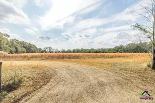 157 Orr Rd, Fort Valley, GA 31030 - Photo 1