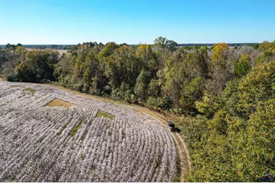 500 Joe Lawrence Road, Ashburn, GA 31714 - Photo 12