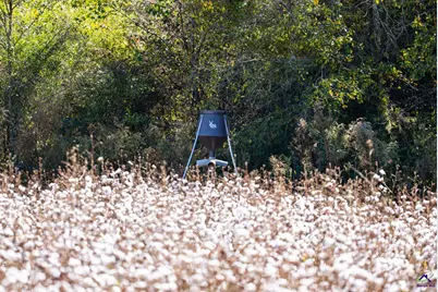 500 Joe Lawrence Road, Ashburn, GA 31714 - Photo 14