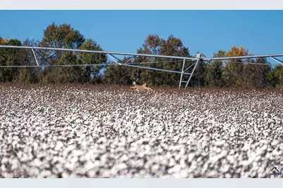 500 Joe Lawrence Road, Ashburn, GA 31714 - Photo 10