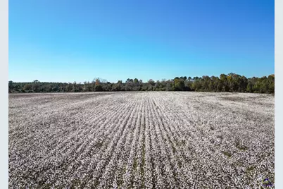 500 Joe Lawrence Road, Ashburn, GA 31714 - Photo 6