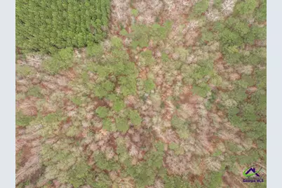 101 Mission Farm Road, Gordon, GA 31031 - Photo 24