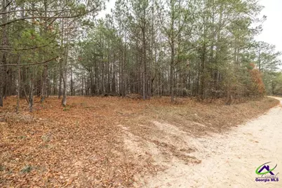 101 Mission Farm Road, Gordon, GA 31031 - Photo 4