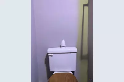 407 S Emory Street, Fort Valley, GA 31030 - Photo 8