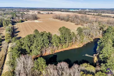 Sandbed Road/Hwy 247 Road, Kathleen, GA 31047 - Photo 24
