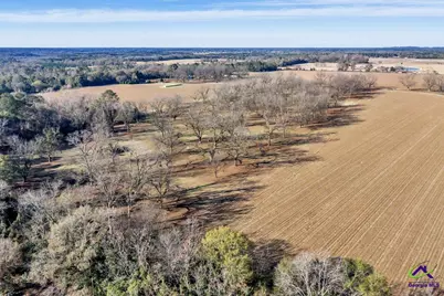 Sandbed Road/Hwy 247 Road, Kathleen, GA 31047 - Photo 20