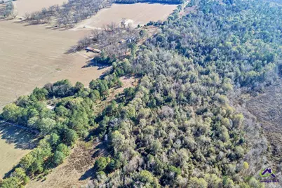 Sandbed Road/Hwy 247 Road, Kathleen, GA 31047 - Photo 6