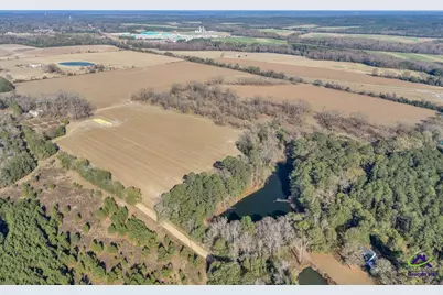 Sandbed Road/Hwy 247 Road, Kathleen, GA 31047 - Photo 10