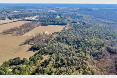 Sandbed Road/Hwy 247 Road, Kathleen, GA 31047 - Photo 4