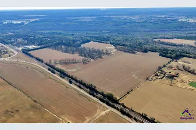 Sandbed Road/Hwy 247 Road, Kathleen, GA 31047 - Photo 8