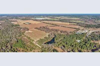 Sandbed Road/Hwy 247 Road, Kathleen, GA 31047 - Photo 44