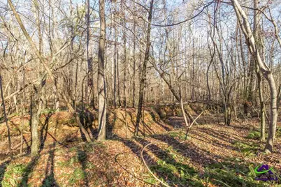 281 Back in The Woods Way, Milledgeville, GA 31060 - Photo 32