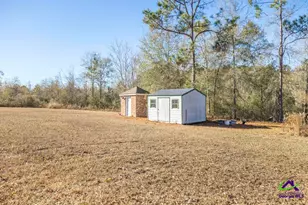 4065 Gordon Rd, Abbeville, GA 31001 - Photo 40
