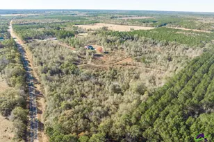 4065 Gordon Rd, Abbeville, GA 31001 - Photo 48