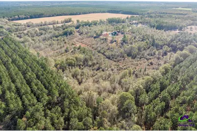 4065 Gordon Road, Abbeville, GA 31001 - Photo 46