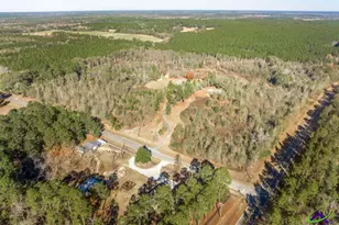 4065 Gordon Rd, Abbeville, GA 31001 - Photo 42