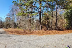 Tyler Ct, Fort Valley, GA 31030 - Photo 1