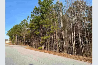 132 Tobee Drive, Lizella, GA 31052 - Photo 4