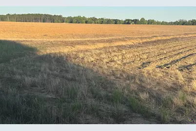 Lot# 11 (1.75 Acres) Sewell Road, Elko, GA 31025 - Photo 1