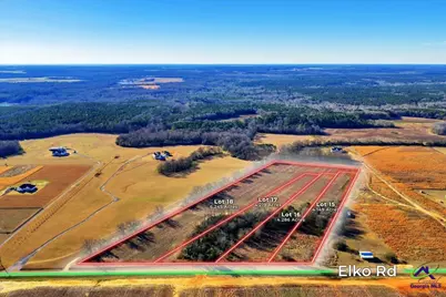 Lot 17 Elko (4.20+/- Acres) Road, Elko, GA 31025 - Photo 1