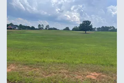 44 Crabapple Drive, Hawkinsville, GA 31036 - Photo 1