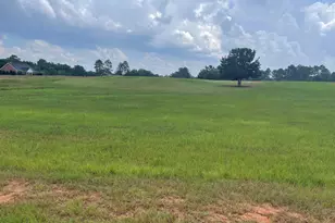 44 Crabapple Dr, Hawkinsville, GA 31036 - Photo 1