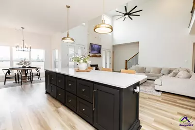 701 Pitts Road, Hawkinsville, GA 31036 - Photo 30