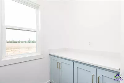 701 Pitts Road, Elko, GA 31036 - Photo 46