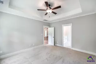 518 Bristleleaf Path, Kathleen, GA 31047 - Photo 14