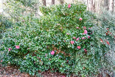 103 Lawing Place, Warner Robins, GA 31088 - Photo 56