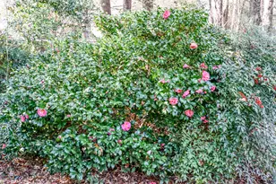 103 Lawing Pl, Warner Robins, GA 31088 - Photo 56