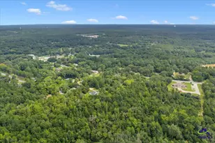 3909 Jeffersonville Rd, Macon, GA 31217 - Photo 8