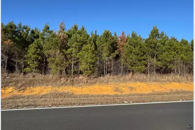 Lot 5A Whitfield Rd, Elko, GA 31025 - Photo 1