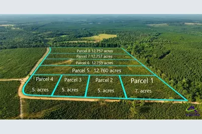 Parcel 2 Whipporwill Road, Reynolds, GA 31076 - Photo 1