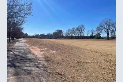 Lot 16 Camden Way, Hawkinsville, GA 31036 - Photo 4