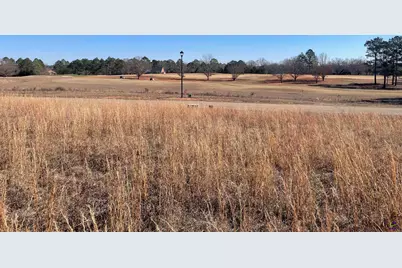 Lot 16 Camden Way, Hawkinsville, GA 31036 - Photo 2