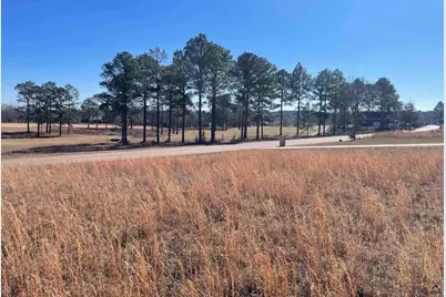 Lot 17 Camden Way, Hawkinsville, GA 31036 - Photo 6